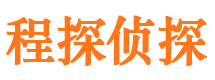 大城市私家侦探